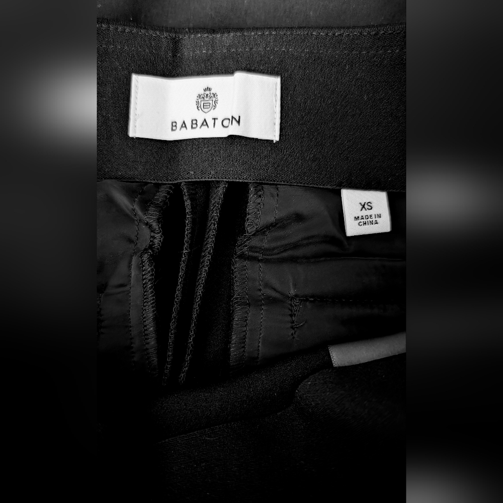 Babaton Verdect Pants - Picture 5 of 5